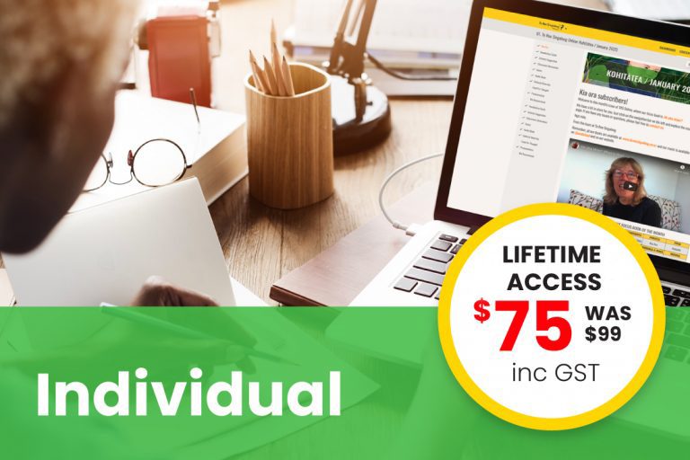 Individual Lifetime Subscription (for individual teachers only)
